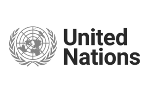 United Nations Logo